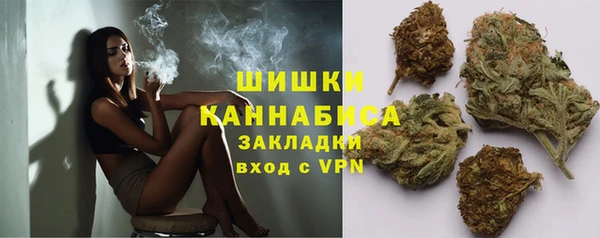 ГАЛЛЮЦИНОГЕННЫЕ ГРИБЫ Тайга