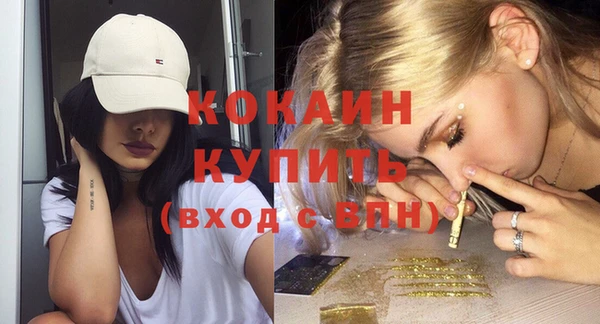 соль ск Тавда