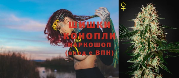 кокс Дмитров